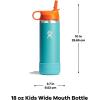 imageHYDRO FLASK Kids Water Bottle Jr Stainless Steel Insulated With Straw Cap for Water Milk Juice School Camp Sport Play and Lunch Easy to Clean LeakResistantSeaspray
