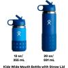 imageHYDRO FLASK Kids Water Bottle Jr Stainless Steel Insulated With Straw Cap for Water Milk Juice School Camp Sport Play and Lunch Easy to Clean LeakResistantWisteria