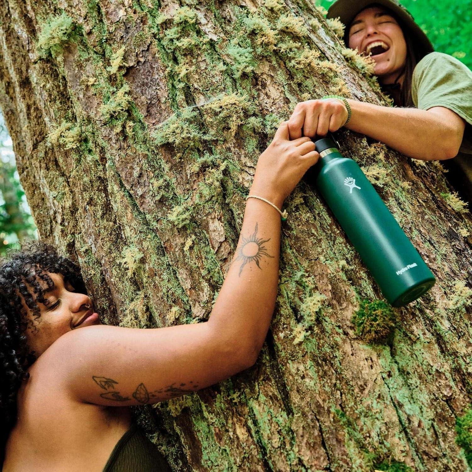 imageHydro Flask Stainless Steel Standard Mouth Water Bottle with Flex Cap and DoubleWall Vacuum InsulationCascade Blue