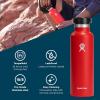 imageHydro Flask Stainless Steel Standard Mouth Water Bottle with Flex Cap and DoubleWall Vacuum InsulationStone Gray