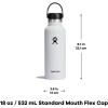 imageHydro Flask Stainless Steel Standard Mouth Water Bottle with Flex Cap and DoubleWall Vacuum InsulationStone Gray