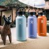 imageHydro Flask Wide Mouth Lids Accessory for Wide Mouth Water BottleStainless Steel