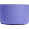 Lupine Purple