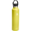 imageHYDRO FLASK Water Bottle  Insulated Stainless Steel  Non Spill Leakproof in 21 Oz SandpiperCactus