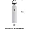 imageHYDRO FLASK Water Bottle  Insulated Stainless Steel  Non Spill Leakproof in 21 Oz SandpiperCactus