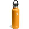 imageHYDRO FLASK Water Bottle  Insulated Stainless Steel  Non Spill Leakproof in 21 Oz SandpiperFOSSIL