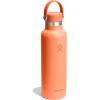 imageHYDRO FLASK Water Bottle  Insulated Stainless Steel  Non Spill Leakproof in 21 Oz SandpiperNectar