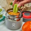 imageHydro Flask Food Jar  Insulated Stainless Steel Snack Travel Container for Hot Food Lunch ampamp Soup 20 Oz SandpiperCASCADE