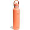 imageHydro Flask Water Bottle  Insulated Stainless Steel  Straw Lid Non Spill Leakproof 24 Oz Botanical Bliss CoconutNectar