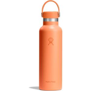 imageHYDRO FLASK Water Bottle  Insulated Stainless Steel  Non Spill Leakproof in 21 Oz SandpiperNectar