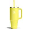 imageHydro Flask 40 Oz Travel Tumbler with Handle Lid and Straw  Insulated Stainless Steel in 40 Oz Glimmer CreamCactus