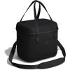 image:imageHydro Flask Carryout Cooler  Insulated Portable Soft Cooler  10 L Capacity in BirchBLACK