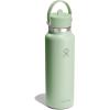 image:imageHydro Flask Water Bottle  Insulated Stainless Steel  Wide Straw Lid Non Spill Leakproof in 24 Oz Forest Green ArcAloe