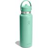 image:imageHydro Flask Water Bottle  Insulated Stainless Steel  Wide Straw Lid Non Spill Leakproof in 24 Oz Forest Green ArcMERMAID GREEN