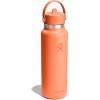 image:imageHydro Flask Water Bottle  Insulated Stainless Steel  Wide Straw Lid Non Spill Leakproof in 24 Oz Forest Green ArcNectar