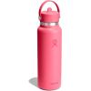 image:imageHydro Flask Water Bottle  Insulated Stainless Steel  Wide Straw Lid Non Spill Leakproof in 24 Oz Forest Green ArcPOPSTAR PINK