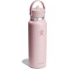 image:imageHydro Flask Water Bottle  Insulated Stainless Steel  Wide Straw Lid Non Spill Leakproof in 24 Oz Forest Green ArcTonal Trillium