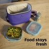 image:imageHydro Flask Carryout Lunch Bag  Insulated Lunch Bag  Soft Travel Cooler Utopia PurpleUTOPIA PURPLE