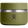 image:imageHYDRO FLASK Food Jar  Insulated Stainless Steel Snack Travel Container for Hot Food Lunch amp Soup 12 Oz Palmer Green