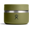 image:imageHYDRO FLASK Food Jar  Insulated Stainless Steel Snack Travel Container for Hot Food Lunch amp Soup 12 Oz Palmer Green