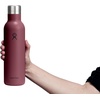 image:imageHydro Flask 25 Oz Ceramic Wine Bottle Burgundy